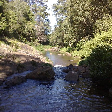 Alstonville Country Cottages Luaran gambar