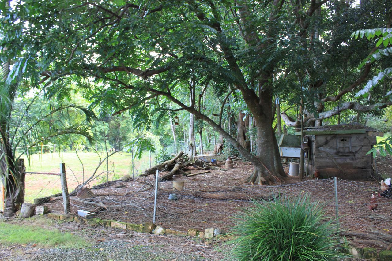 Alstonville Country Cottages Luaran gambar